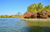 北京朝陽公園