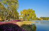 北京朝陽公園