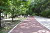 北京朝陽公園